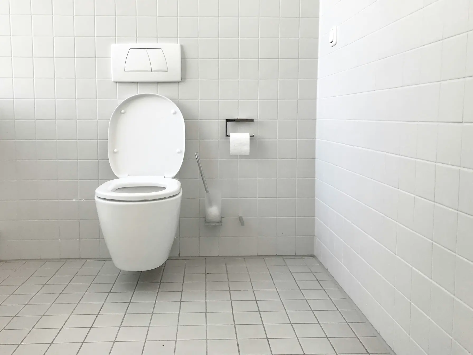 WC suspendu & habillage — Castres